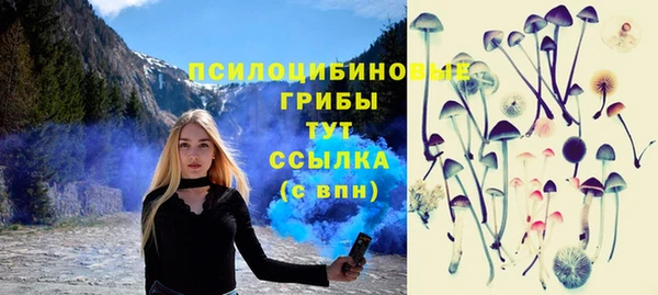 меф Белокуриха