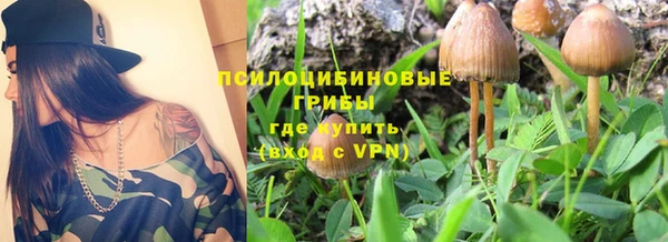 меф Белокуриха
